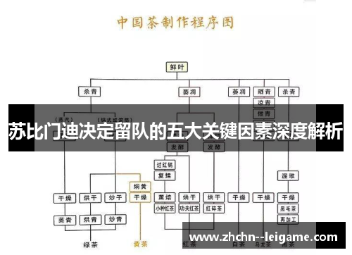 苏比门迪决定留队的五大关键因素深度解析
